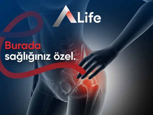 Pelvis Nedir?